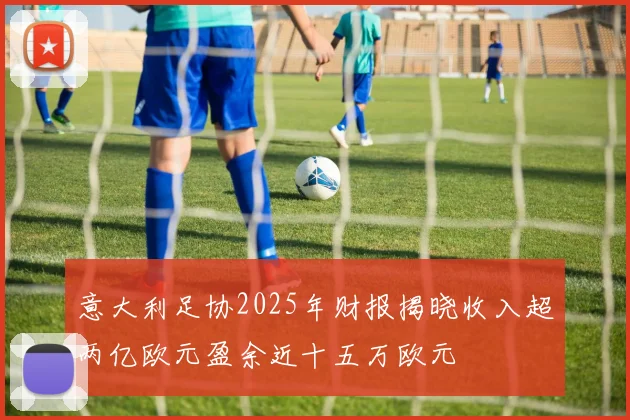 意大利足协2025年财报揭晓收入超两亿欧元盈余近十五万欧元