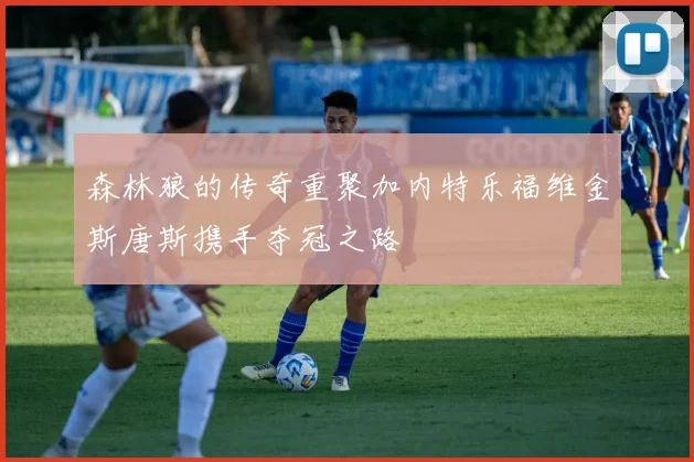 森林狼的传奇重聚加内特乐福维金斯唐斯携手夺冠之路