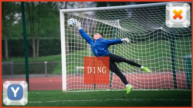 D1NG